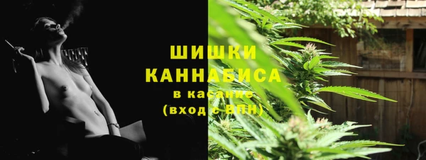 apvp Протвино