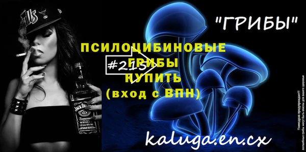 apvp Протвино